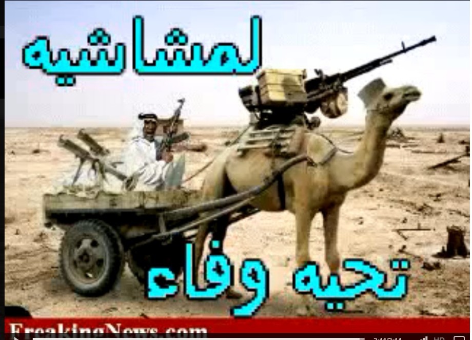 Camel guard